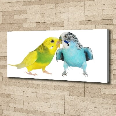 Quadro su tela Pappagalli ondulati