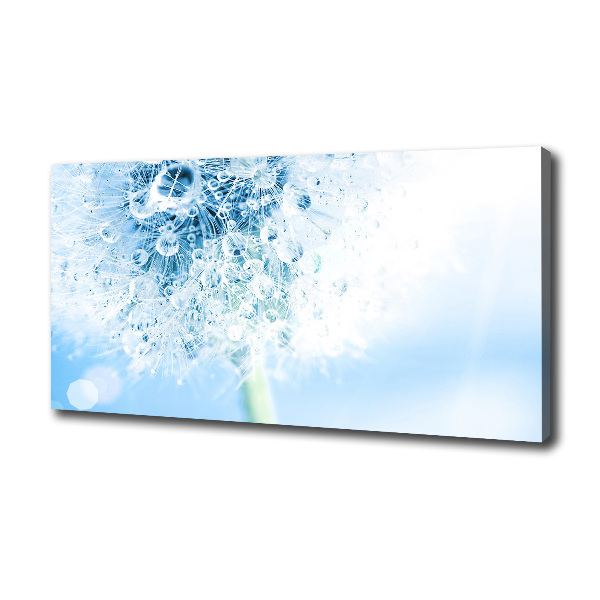 Foto quadro su tela Dente di leone