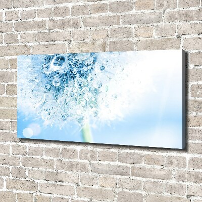 Foto quadro su tela Dente di leone