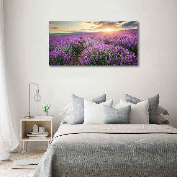 Quadro su tela Campo di lavanda
