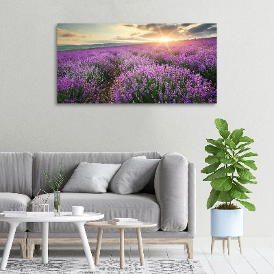 Quadro su tela Campo di lavanda