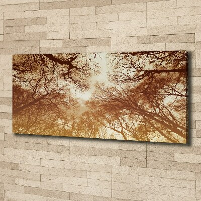 Quadro su tela Foresta