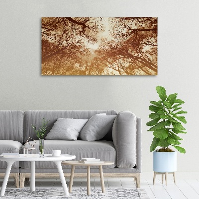 Quadro su tela Foresta