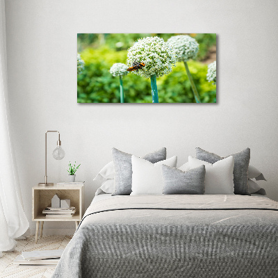 Foto quadro su tela Uva in fiore