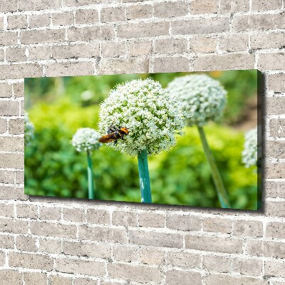 Foto quadro su tela Uva in fiore