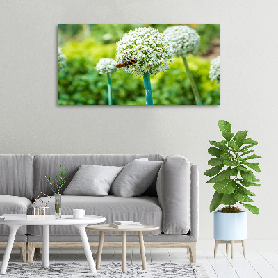 Foto quadro su tela Uva in fiore