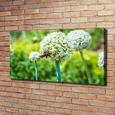 Foto quadro su tela Uva in fiore