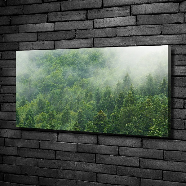 Quadro stampa su tela Foresta misteriosa