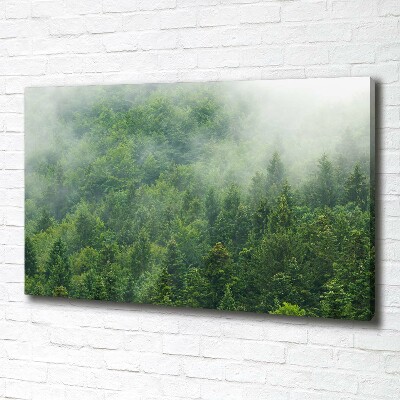 Quadro stampa su tela Foresta misteriosa