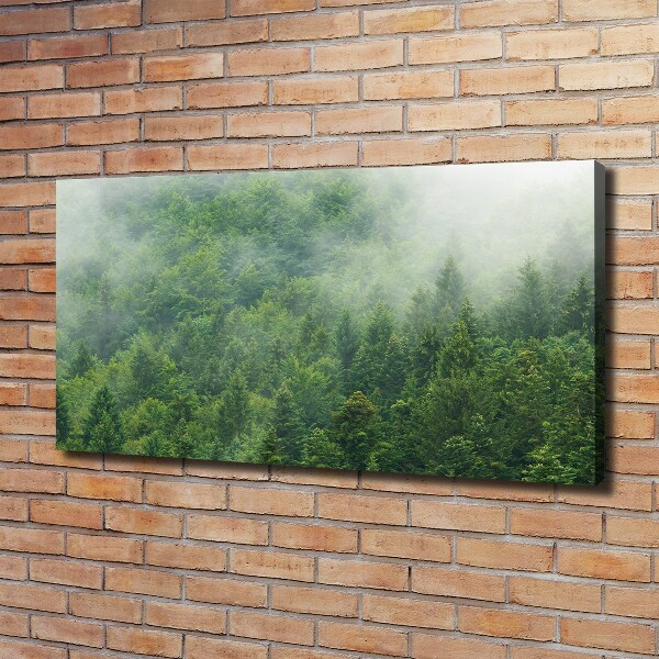 Quadro stampa su tela Foresta misteriosa