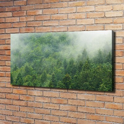 Quadro stampa su tela Foresta misteriosa