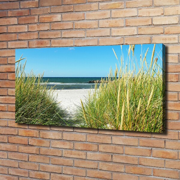 Foto quadro su tela Dune costiere