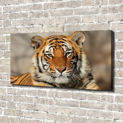 Quadro stampa su tela Tigre del Bengala