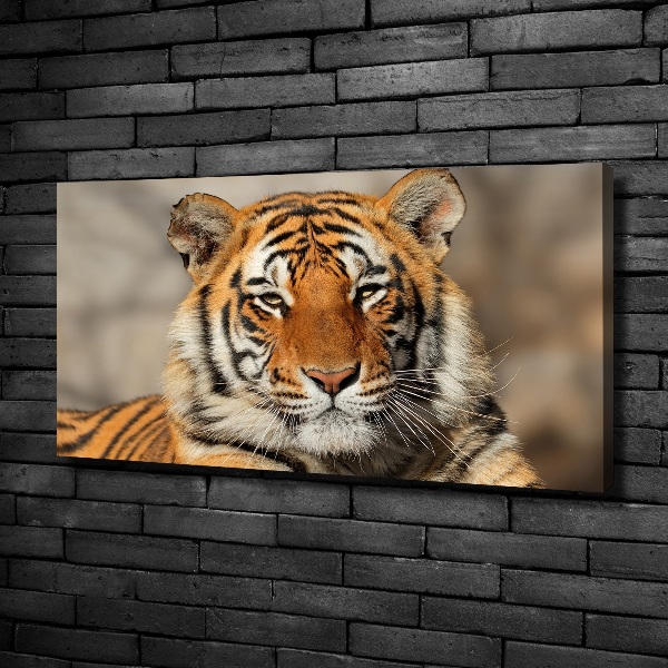 Quadro stampa su tela Tigre del Bengala