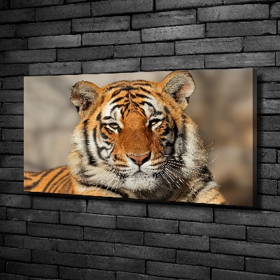 Quadro stampa su tela Tigre del Bengala