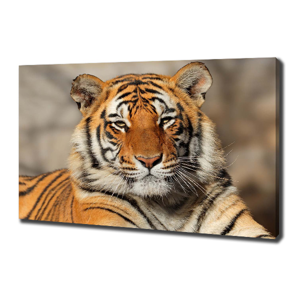 Quadro stampa su tela Tigre del Bengala