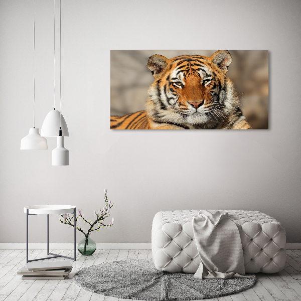 Quadro stampa su tela Tigre del Bengala