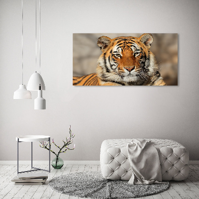 Quadro stampa su tela Tigre del Bengala
