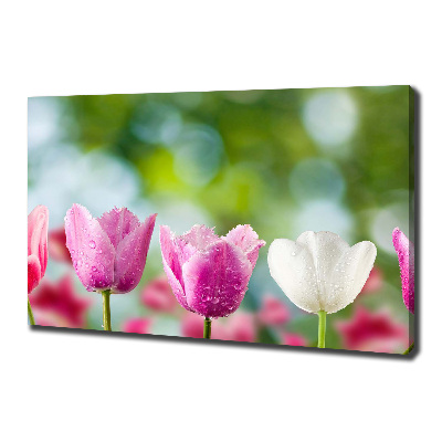 Quadro su tela Tulipani