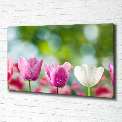 Quadro su tela Tulipani