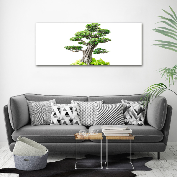 Foto quadro su tela Albero bonsai