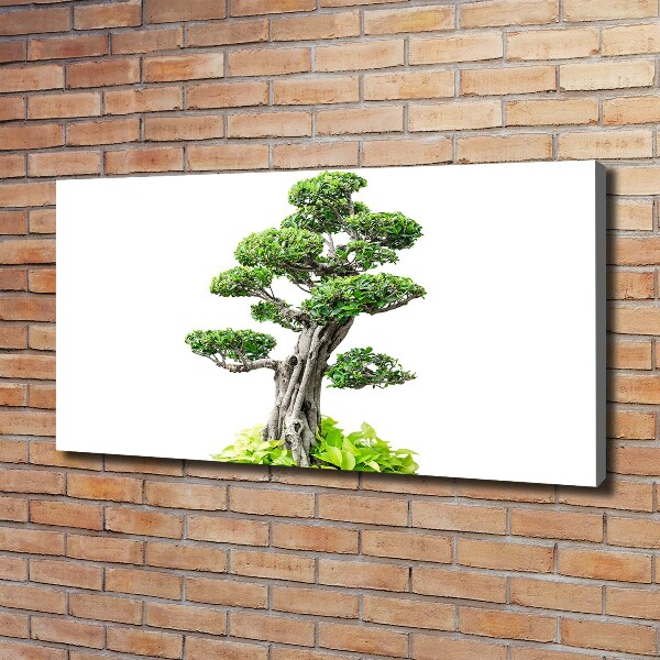 Foto quadro su tela Albero bonsai