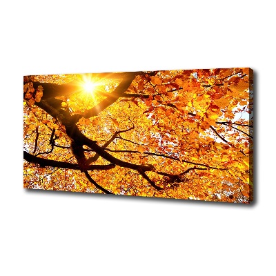 Quadro stampa su tela Chioma autunnale dell'albero