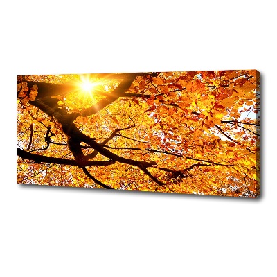 Quadro stampa su tela Chioma autunnale dell'albero