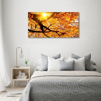 Quadro stampa su tela Chioma autunnale dell'albero
