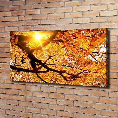 Quadro stampa su tela Chioma autunnale dell'albero