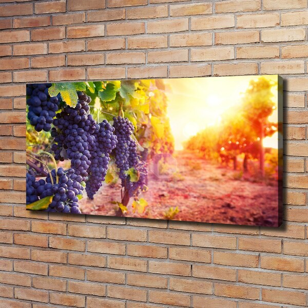 Foto quadro su tela Viti