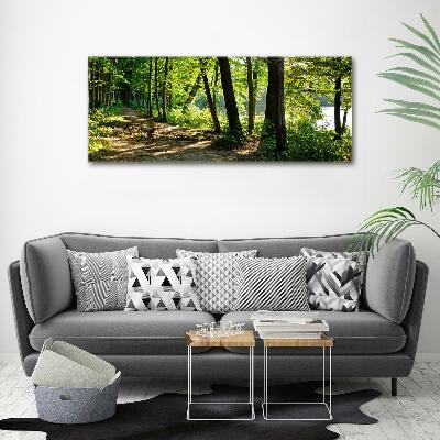 Foto quadro su tela Sentiero nel prato