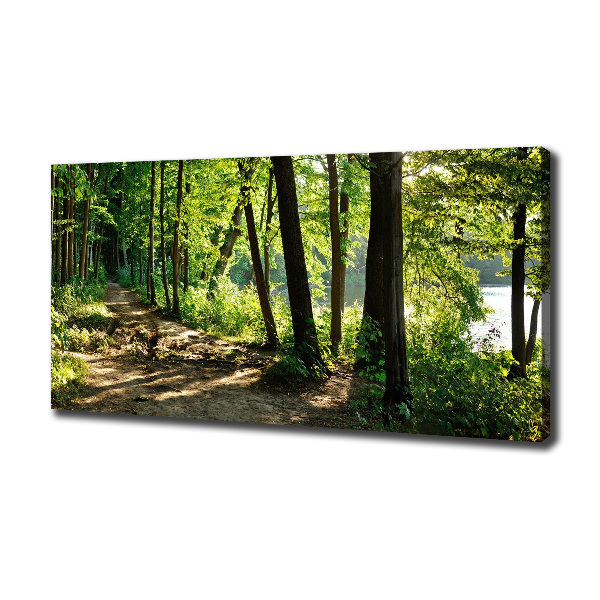 Foto quadro su tela Sentiero nel prato