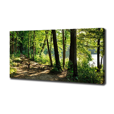 Foto quadro su tela Sentiero nel prato