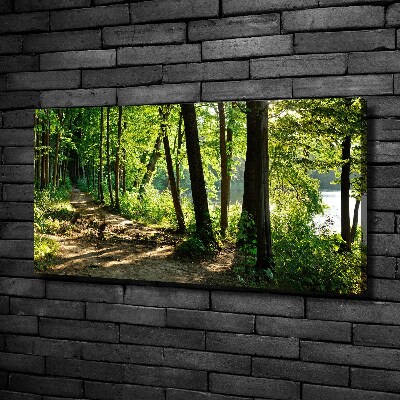 Foto quadro su tela Sentiero nel prato