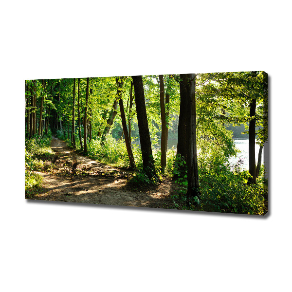 Foto quadro su tela Sentiero nel prato