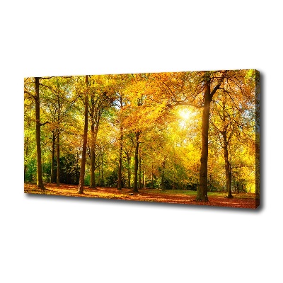 Quadro su tela Foresta in autunno