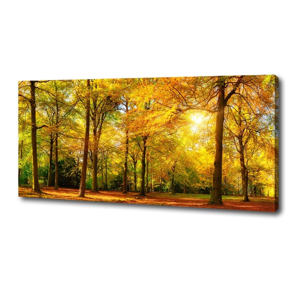 Quadro su tela Foresta in autunno