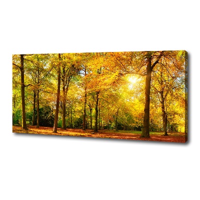 Quadro su tela Foresta in autunno