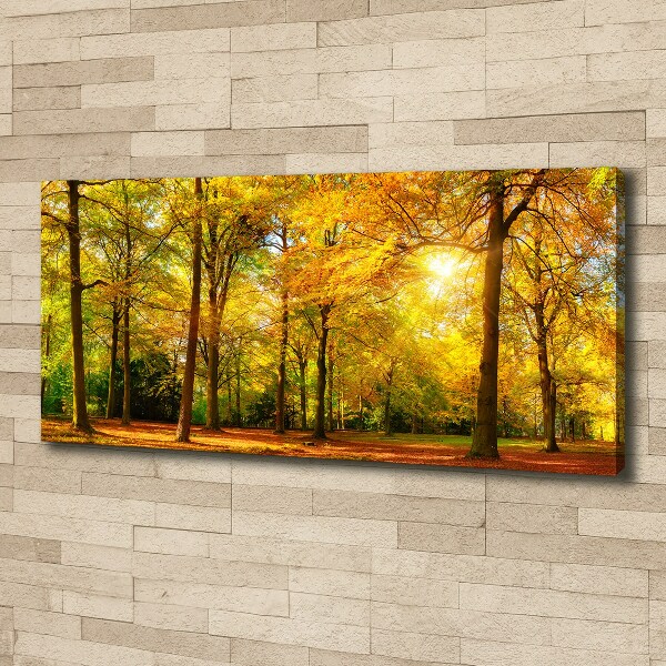 Quadro su tela Foresta in autunno