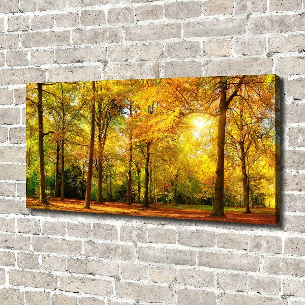 Quadro su tela Foresta in autunno