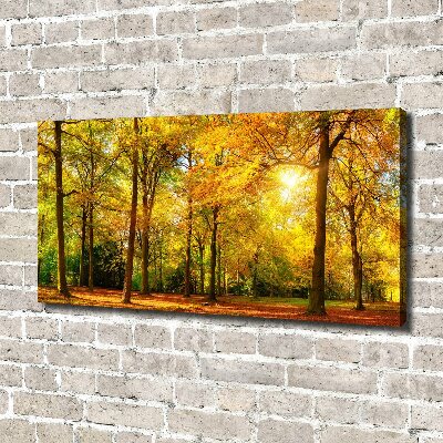 Quadro su tela Foresta in autunno