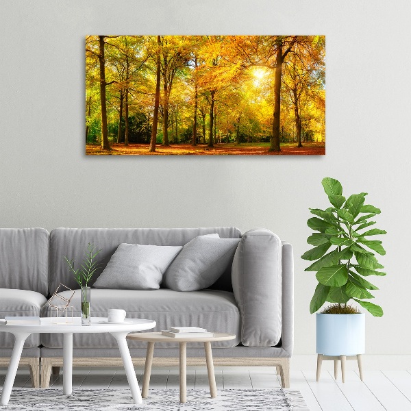 Quadro su tela Foresta in autunno