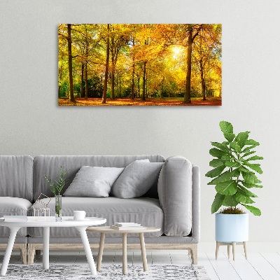 Quadro su tela Foresta in autunno