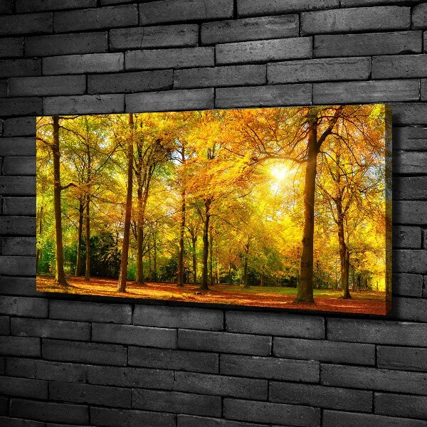 Quadro su tela Foresta in autunno