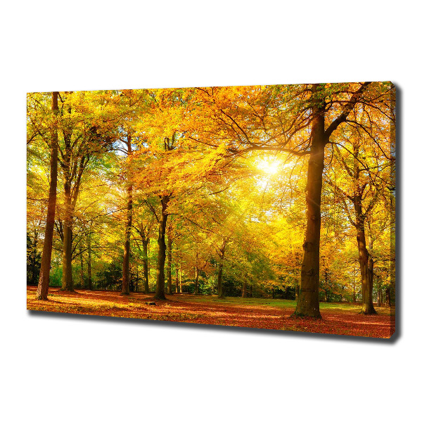 Quadro su tela Foresta in autunno