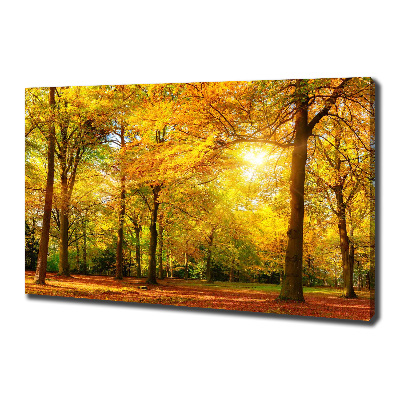 Quadro su tela Foresta in autunno