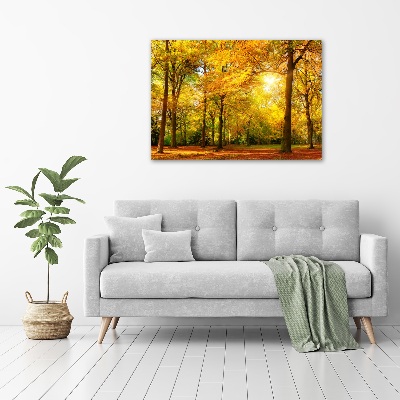Quadro su tela Foresta in autunno