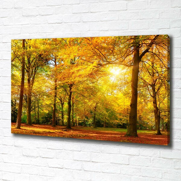 Quadro su tela Foresta in autunno