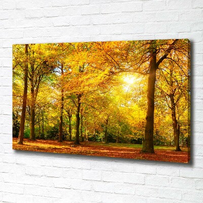 Quadro su tela Foresta in autunno